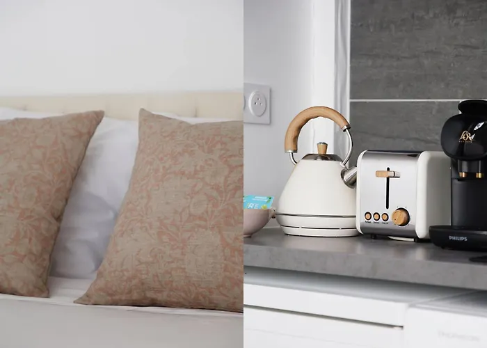 Duplex Elegant En Plein Centre De Apartman